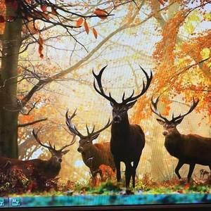 Meet your Posher, Marlene